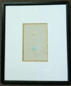 Image of Custom framed antique Morris egg prints, 5 of 12