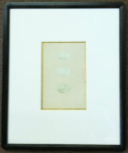 Image of Custom framed antique Morris egg prints, 9 of 12