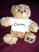 Image of Cornish Teddy