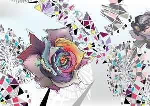 Image of Flower Ferris