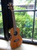 Image of Ohana Redwood/Rosewood Concert w/case