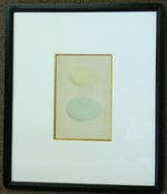 Image of Custom framed antique Morris egg prints, 11 of 12