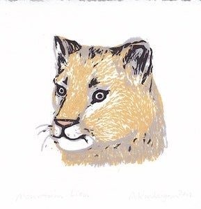 Image of Mountain Lion Portrait