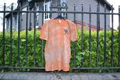 Image of Wyks Orange