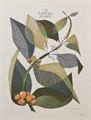 Image of The Coffee Plant (Branch) - Open Edition