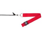 Image of SWIM BELT