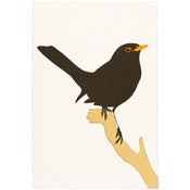 Image of Blackbird Card