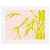 Image of Grassy Plant Print I