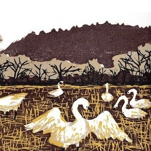 Image of Trumpeter Swans Print