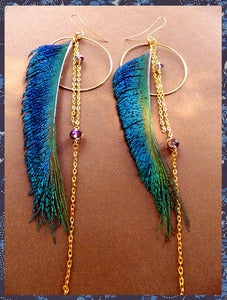 Image of Sword Feathers