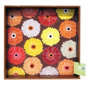Image of Gerber Daisy Tray by rockflowerpaper