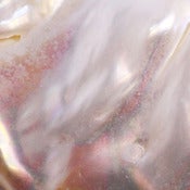 Image of Pearl