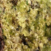 Image of Peridot