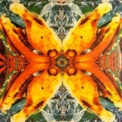 Image of ACID HORSE-No Name, No Slogan 12"/ Green label w/ inner sheet
