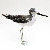 Image of GREENSHANK