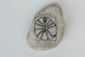 Image of Da Vinci Alien
