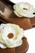 Image of Bridal shoe clips in Ivory