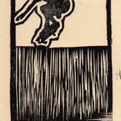 Image of Ollie