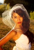 Image of French Netting Birdcage Blusher-18 inch