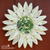 Image of Garden Mirror