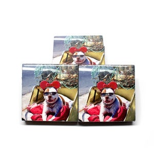 Image of Mickey Mutt Beer Coasters