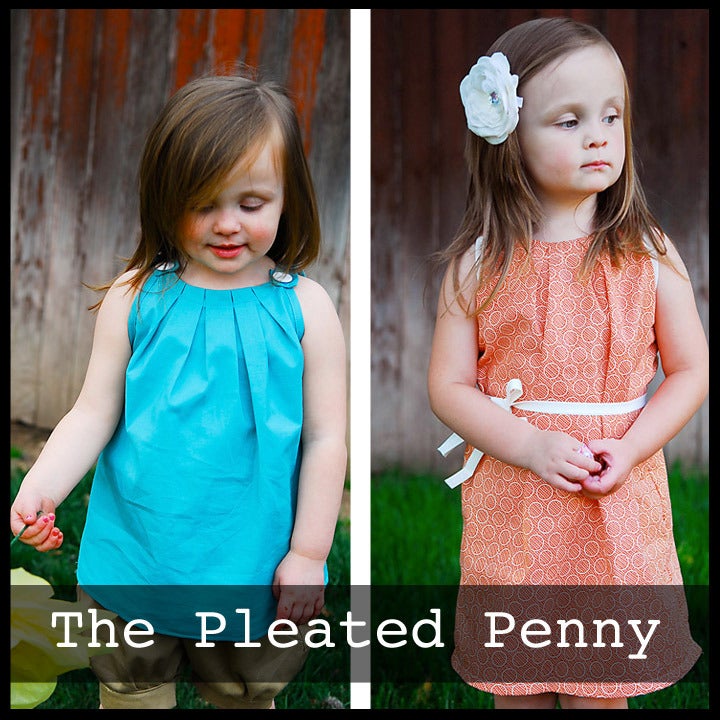 The Pleated Penny 3m-5T Image of The Pleated Penny 3m-5T