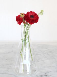 Image of Conical Beaker