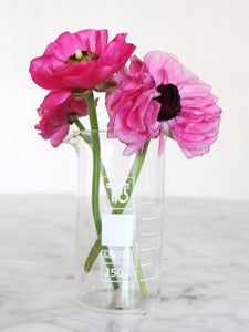 Image of Lab Beaker