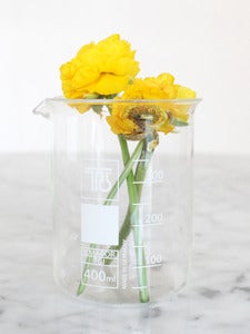 Image of Classic Beaker