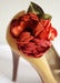 Image of Bridal Shoe Clip Set. Fall Harvest.