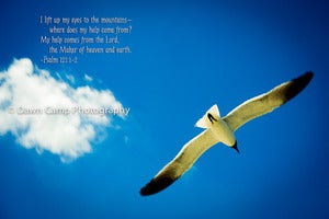 Image of Gull in Flight with Verse on an 8" x 12" Standout Professionally Printed on Metallic Paper