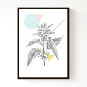 Image of Nettles Geo (A4)