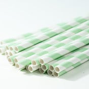 Image of Mint Green Stripe Paper Straw