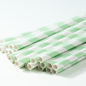 Image of Mint Green Stripe Paper Straw