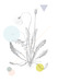 Image of Rough Hawksbit Geo (A4)