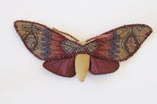 Image of Limited Edition Tapestry Moth Soft Sculpture Burgundy 