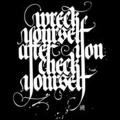 Image of WRECK YOURSELF AFTER YOU CHECK YOURSELF (T-shirt)