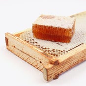 Image of Honeycomb frame