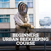 Image of Beekeeping taster session
