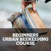 Image of Beekeeping taster session – September October 2013
