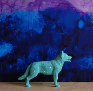 Image of dog/turquoise  the strange planet