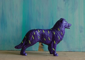 Image of dog/violet the strange planet