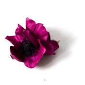 Image of Anemone Floral Clip - Burgundy