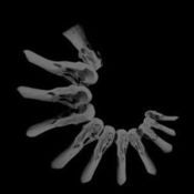 Image of YELLOW SWANS / OAKEATER - Split 12"