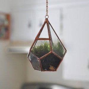 Image of Teardrop Terrarium Kit, small hinged