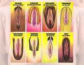 Image of VAGINA BEARD CHART (Limited Edition of 10)