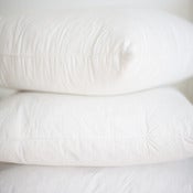 Image of Cushion Insert