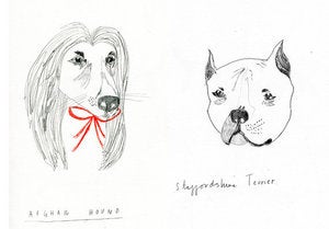 Image of Custom Dog Portrait