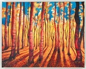 Image of Birch Trees in the Fall-16x20 Fine Art Canvas Print 