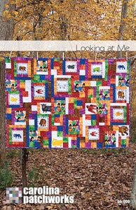 Image of No. 006 -- Looking at Me